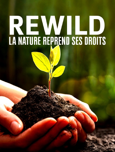 Rewild, la nature reprend ses droits