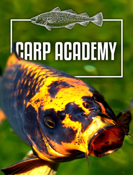 Carp Academy