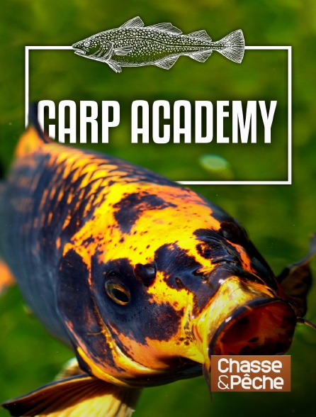 Chasse et pêche - Carp Academy