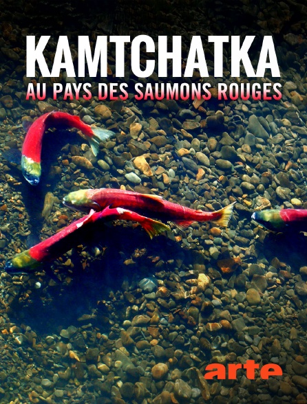 Arte - Kamtchatka, au pays des saumons rouges