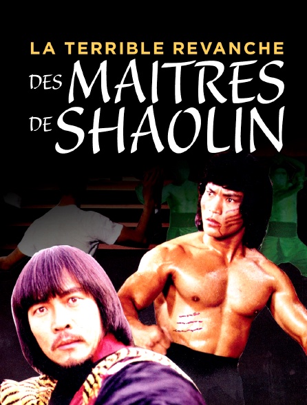 La terrible revanche des maitres de Shaolin