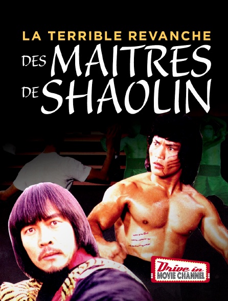 Drive-in Movie Channel - La terrible revanche des maitres de Shaolin