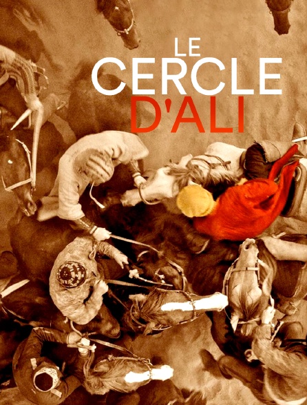 Le cercle d'Ali