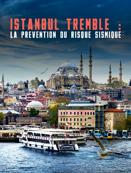 Istanbul tremble : La prévention du risque sismique