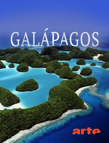 Arte - Les Galápagos