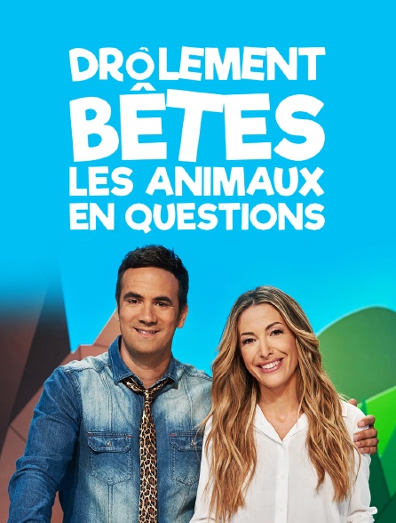 Drôlement bêtes : les animaux en questions