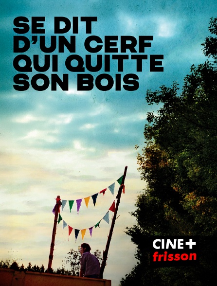CINE+ Frisson - Se dit d'un cerf qui quitte son bois