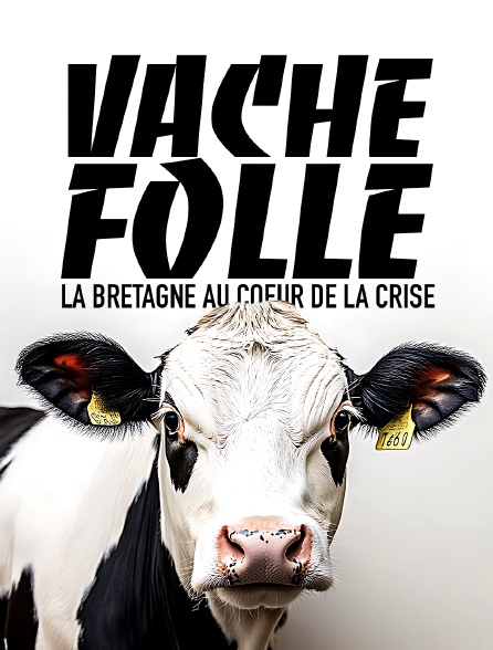 Vache folle, la Bretagne au coeur de la crise