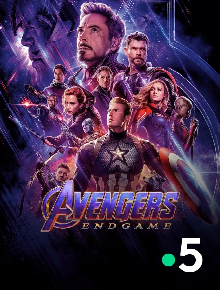 France 5 - Avengers : Endgame
