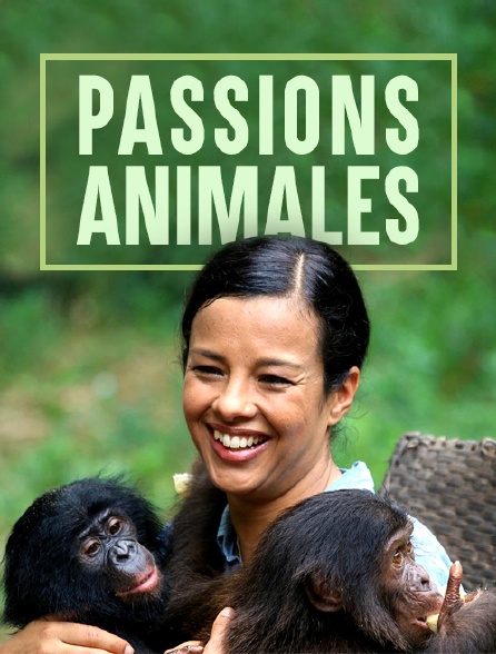 Passions animales