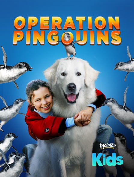 Molotov Channels Kids - Opération Pingouins