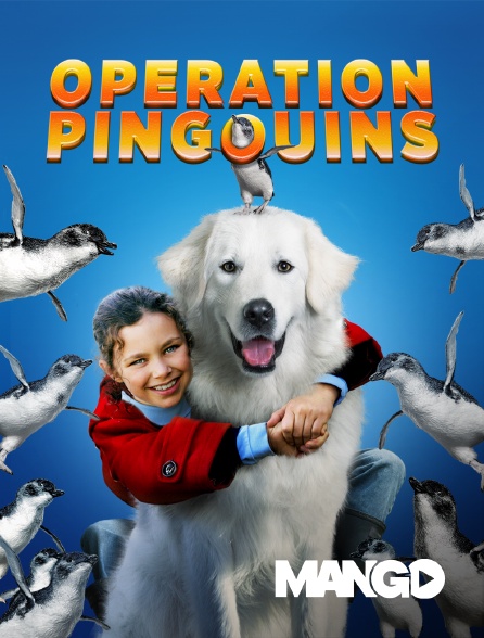 Mango - Opération pingouins