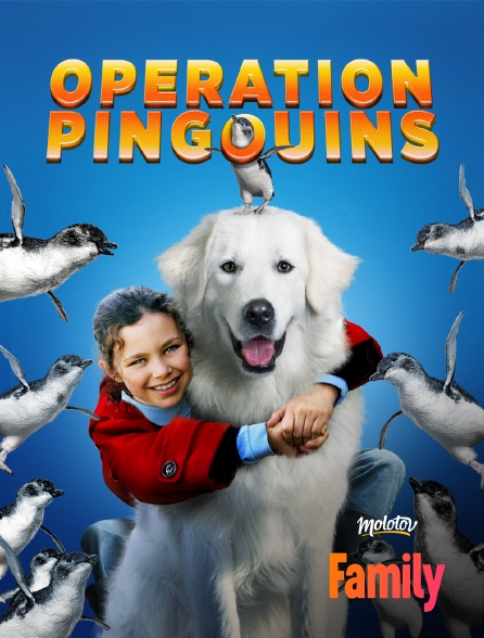 Molotov Channels Family - Opération pingouins