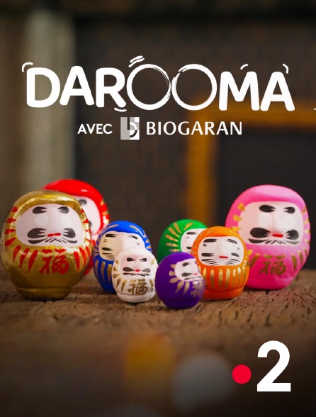 France 2 - Darooma