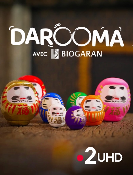 France 2 UHD - Darooma