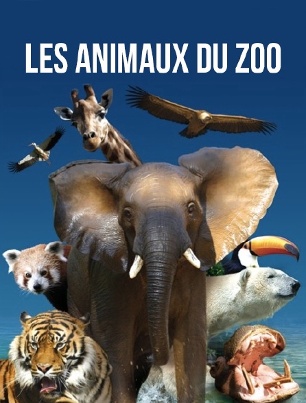 Les animaux du zoo