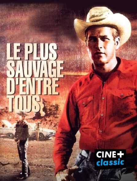 CINE+ Classic - Le plus sauvage d'entre tous