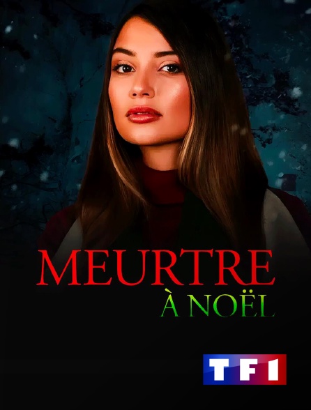 TF1 - Meurtre à Noël