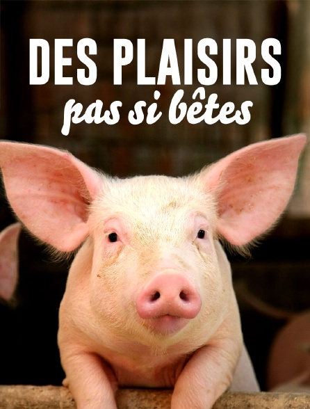 Des plaisirs pas si bêtes