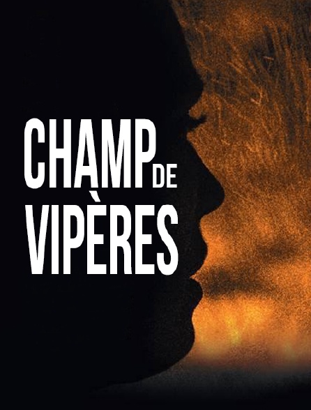 Champ de vipères