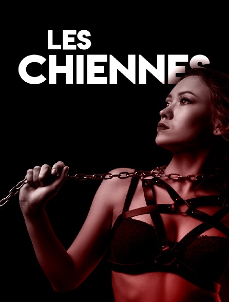Les chiennes