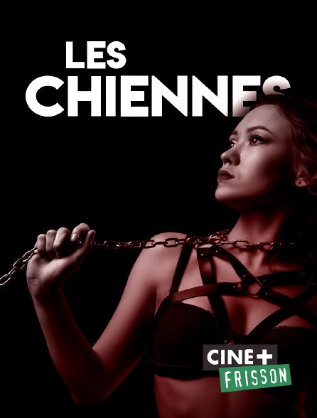 Ciné+ Frisson - Les chiennes