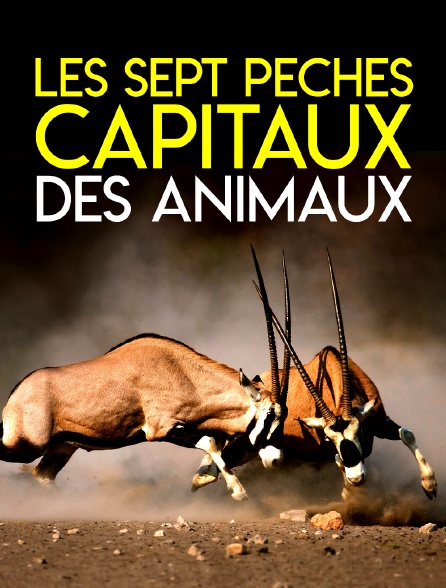 Les sept péchés capitaux des animaux