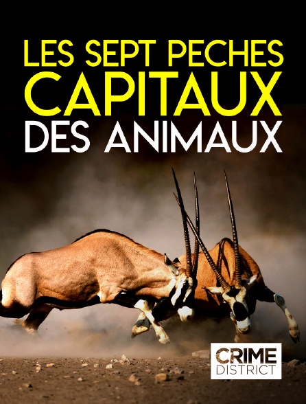 Crime District - Les sept péchés capitaux des animaux