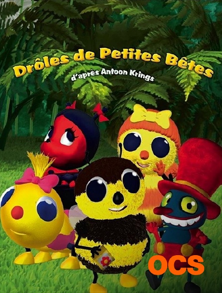 OCS - Les drôles de petites bêtes