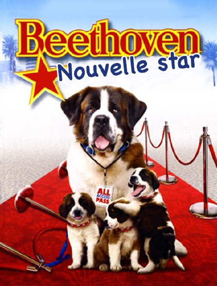 Beethoven 1 Film Streaming Beethoven nouvelle star en Streaming - Molotov.tv