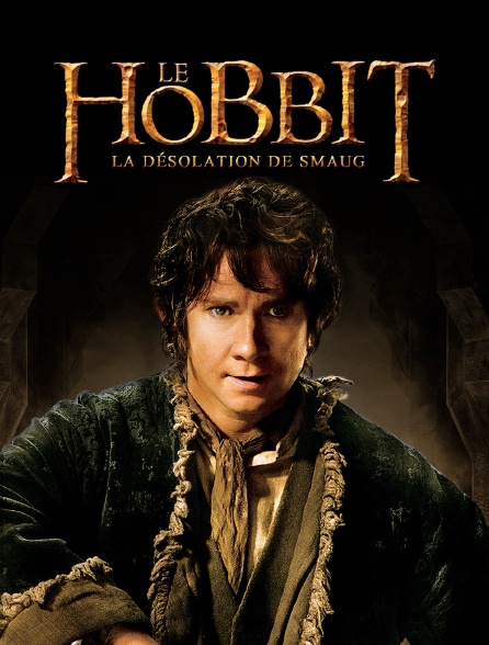 The Hobbit: The Desolation of Smaug instal the last version for windows