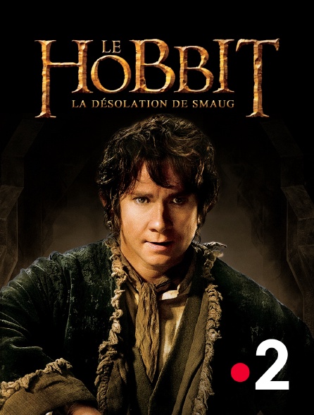 The Hobbit: The Desolation of Smaug download the new version for ios