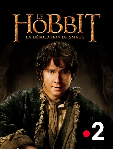 instal the new version for windows The Hobbit: The Desolation of Smaug