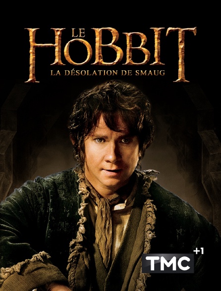 TMC +1 - Le Hobbit : la désolation de Smaug