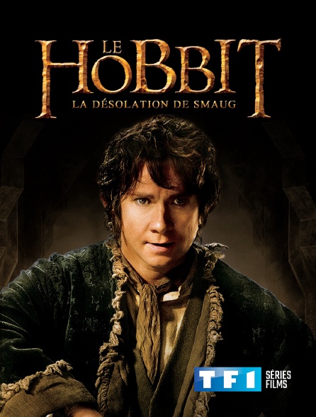 TF1 Séries Films - Le Hobbit : la désolation de Smaug