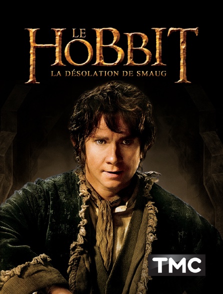 TMC - Le Hobbit : la désolation de Smaug