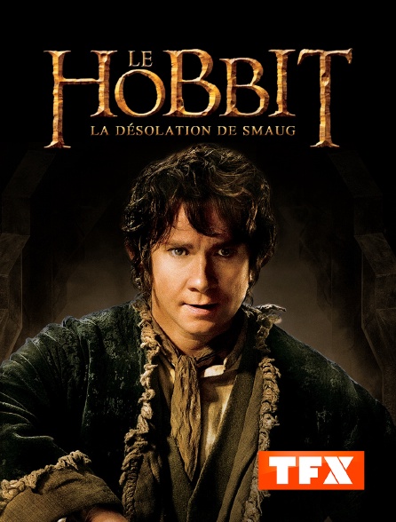 TFX - Le Hobbit : la désolation de Smaug