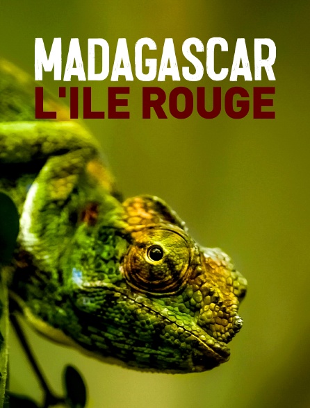 Madagascar, l'île rouge