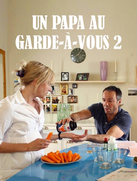 Un papa au garde-à-vous 2