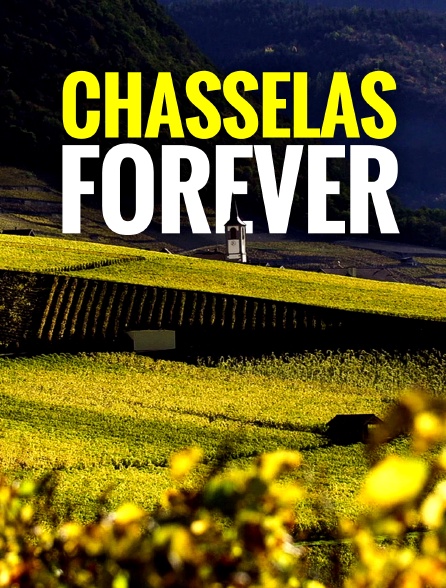 Chasselas Forever
