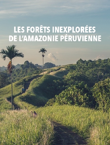 Les forêts inexplorées de l'Amazonie péruvienne