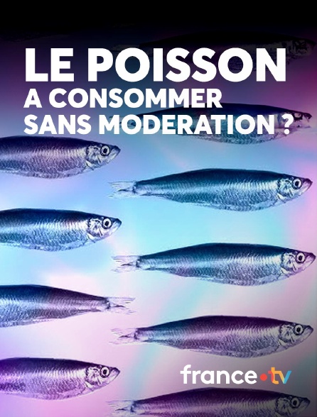 france.tv - Le poisson : à consommer sans modération ?
