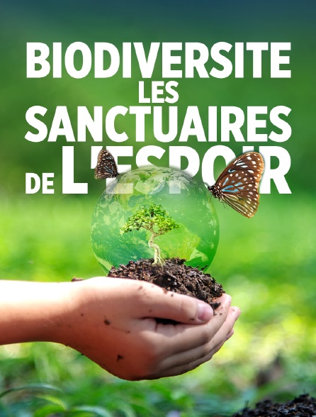 Biodiversité : les sanctuaires de l'espoir