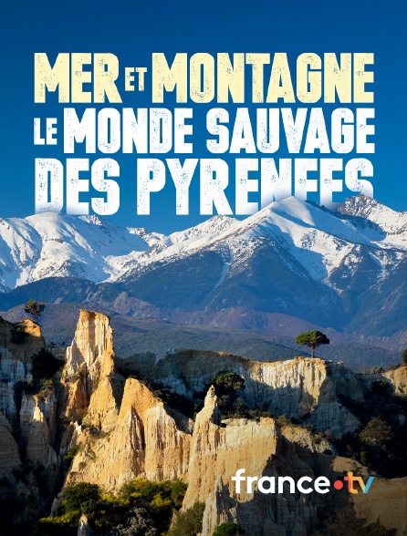 france.tv - Mer et montagne, le monde sauvage des Pyrénées en replay