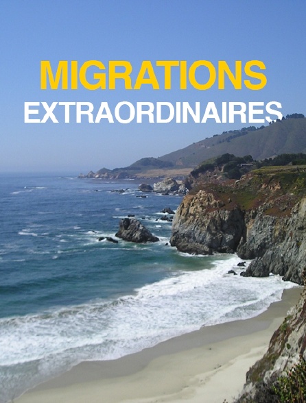 Migrations extraordinaires
