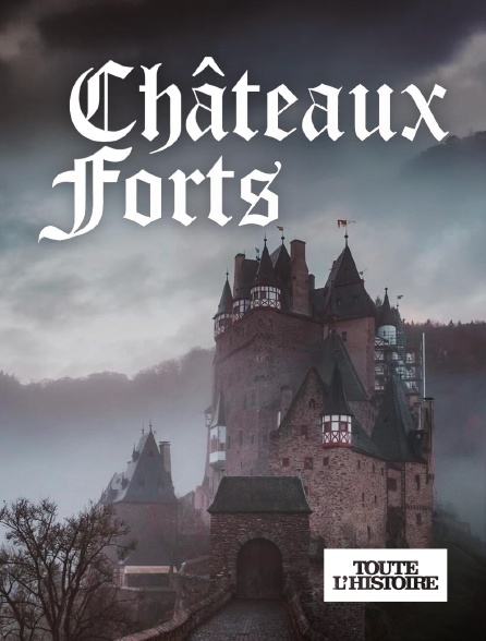 Toute l'Histoire - Châteaux forts