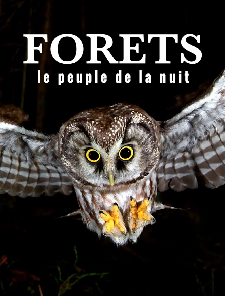 Forêts : le peuple de la nuit