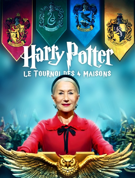 Harry Potter : Le Tournoi des quatre maisons