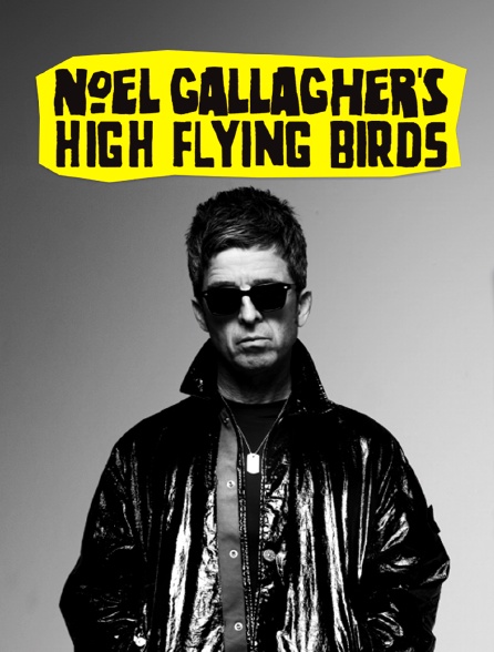 Noel Gallaghers High Flying Birds en concert au Zénith de Paris