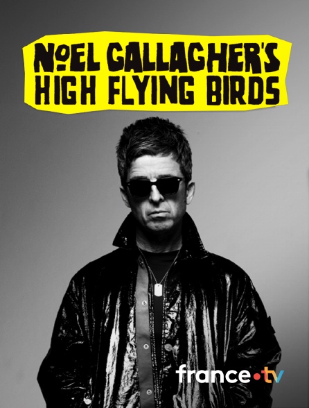 France.tv - Noel Gallagher's High Flying Birds en concert au Zénith de Paris